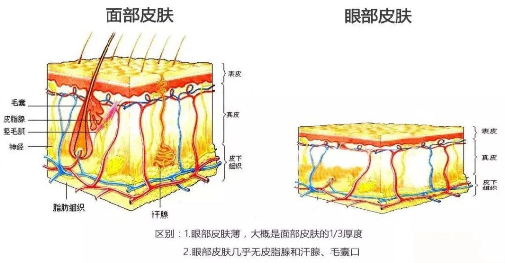 眼部有细纹怎么去除_眼部皮肤按摩操