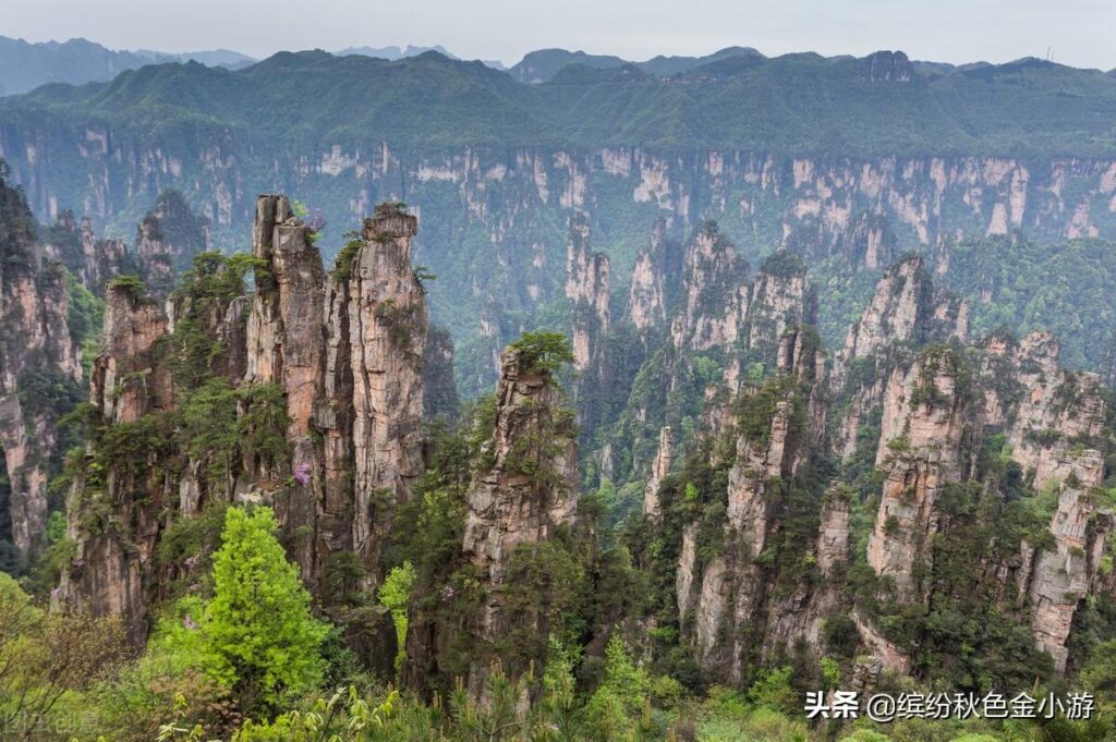 中国景区门票最贵的排名_中国国内门票最贵的十个景区