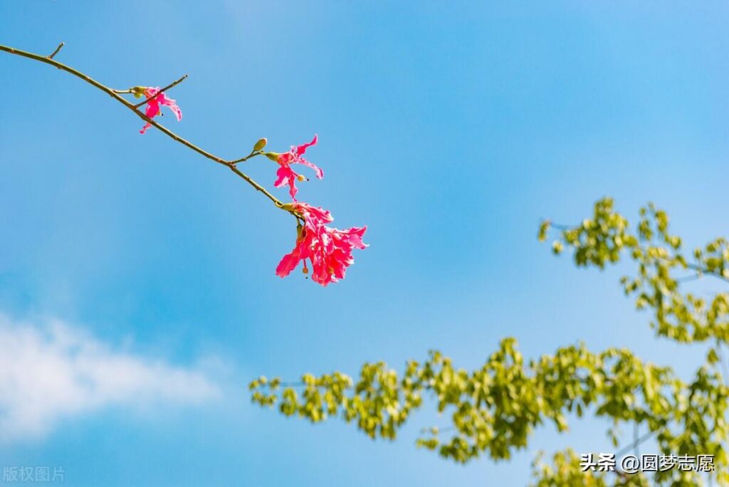 文科就业率高的专业有哪些_文科专业就业率排名