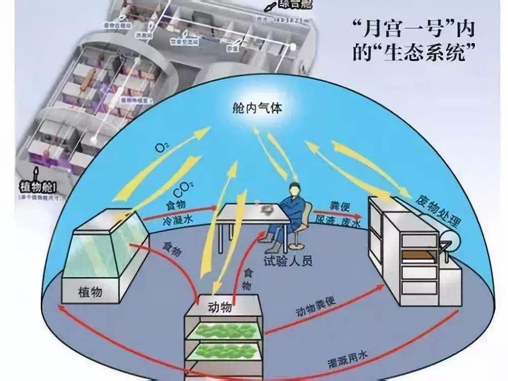 空间站3人什么时候返回_带回什么太空特产