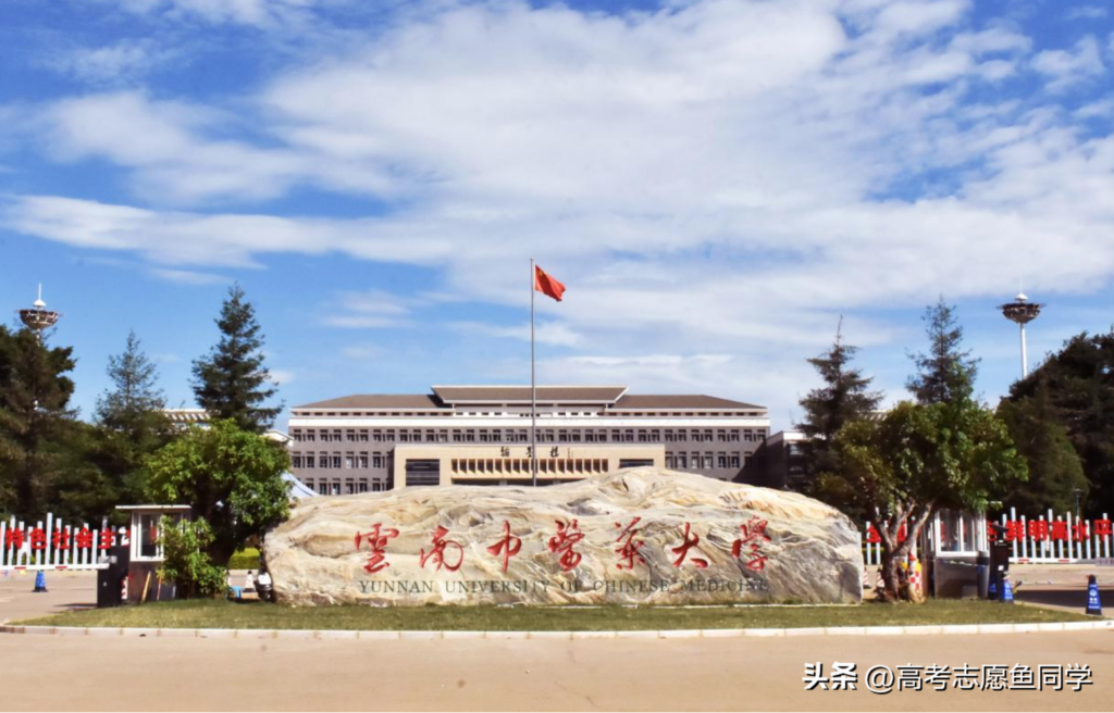 有哪些好的二本中医药大学_二本中医药大学排名榜