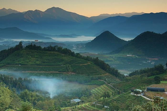 高山茶有哪些功效_高山茶保存方法