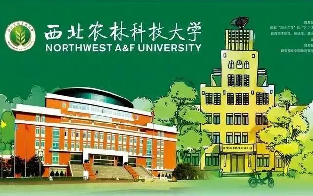 985大学的最新排名_全国985大学名单