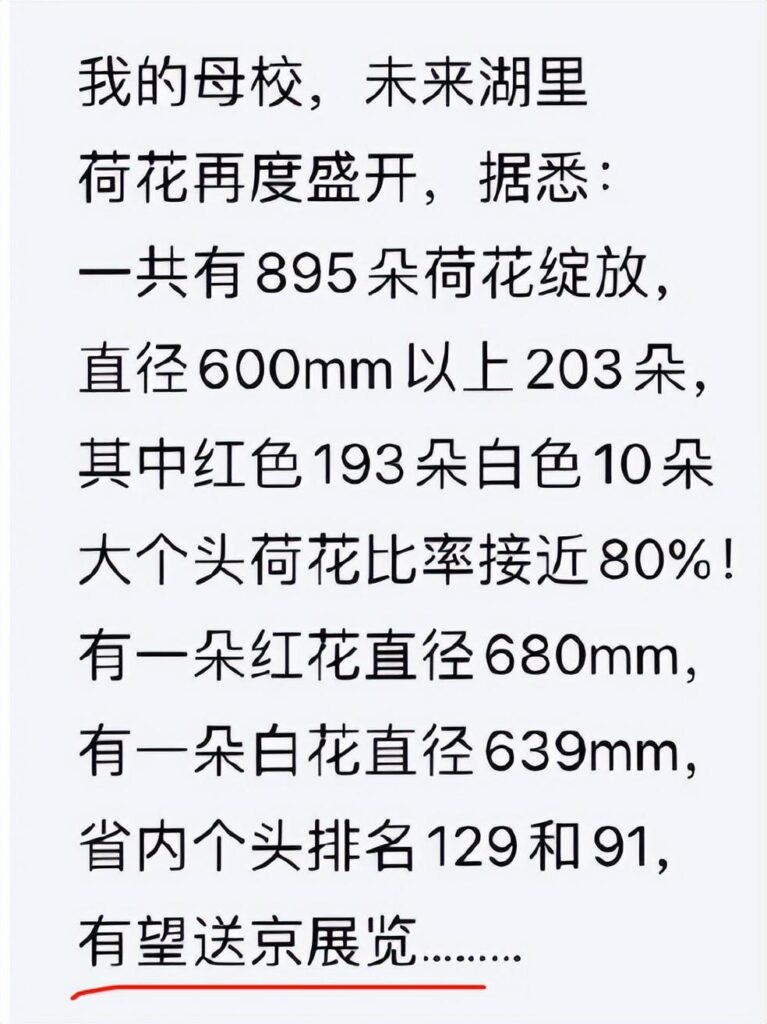 为什么要禁止宣传高考状元和升学率