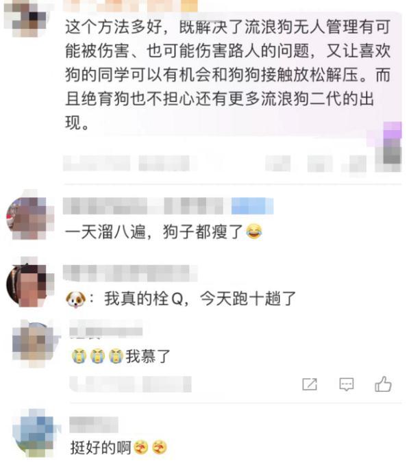 大学生遛狗排班表_活动过于火爆