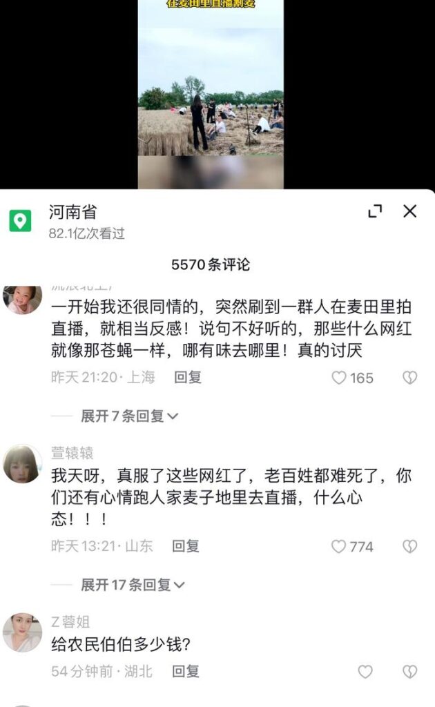 网红扎堆到麦地直播割麦