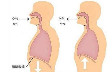 零基础怎么学唱歌_零基础学唱歌怎么学