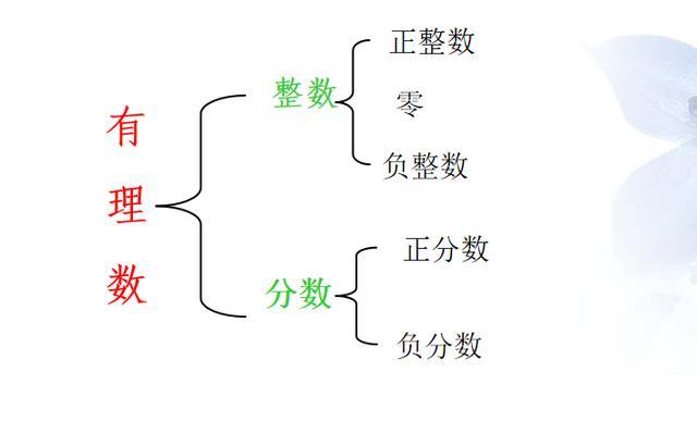 什么是有理数_什么是整数