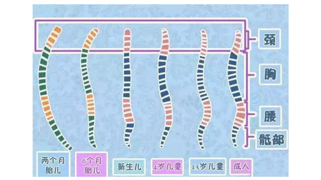 如何给孩子挑选安全座椅_安全座椅选购要素