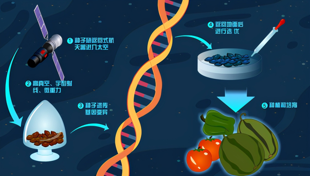 空间站3人什么时候返回_带回什么太空特产