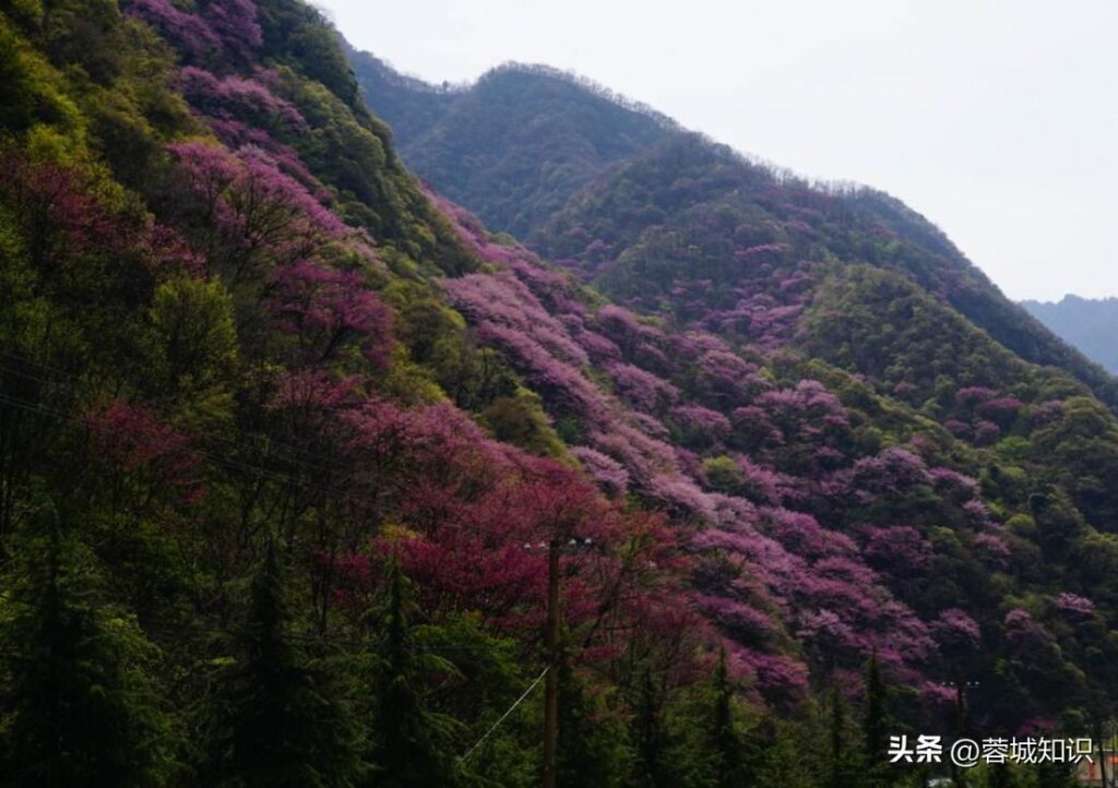 西安周边自然景区有哪些_西安周边自然景区推荐