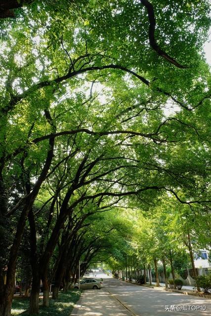 江西省最好的几所大学_江西最好的大学排行榜