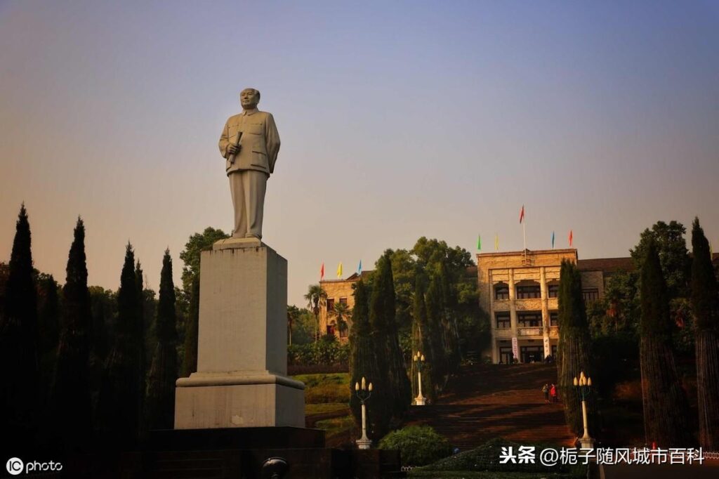 重庆有哪些一本大学名_重庆一本大学排名