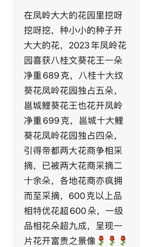 为什么要禁止宣传高考状元和升学率