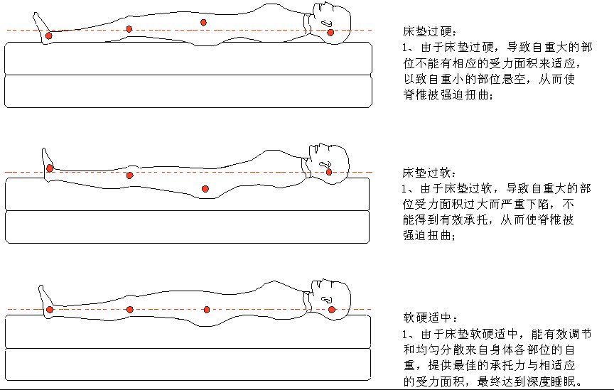 床垫的重要性有哪些_床垫真的重要性吗