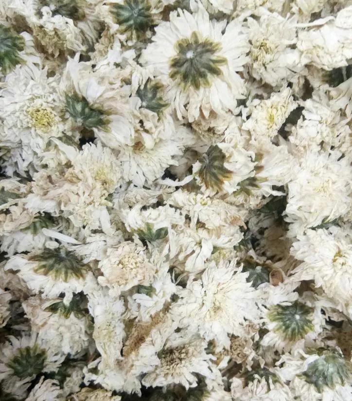 白菊花多少钱一斤_白菊花价格行情