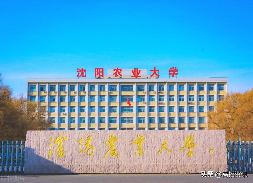 东北石油大学实力怎么样_沈阳农业大学实力怎么样