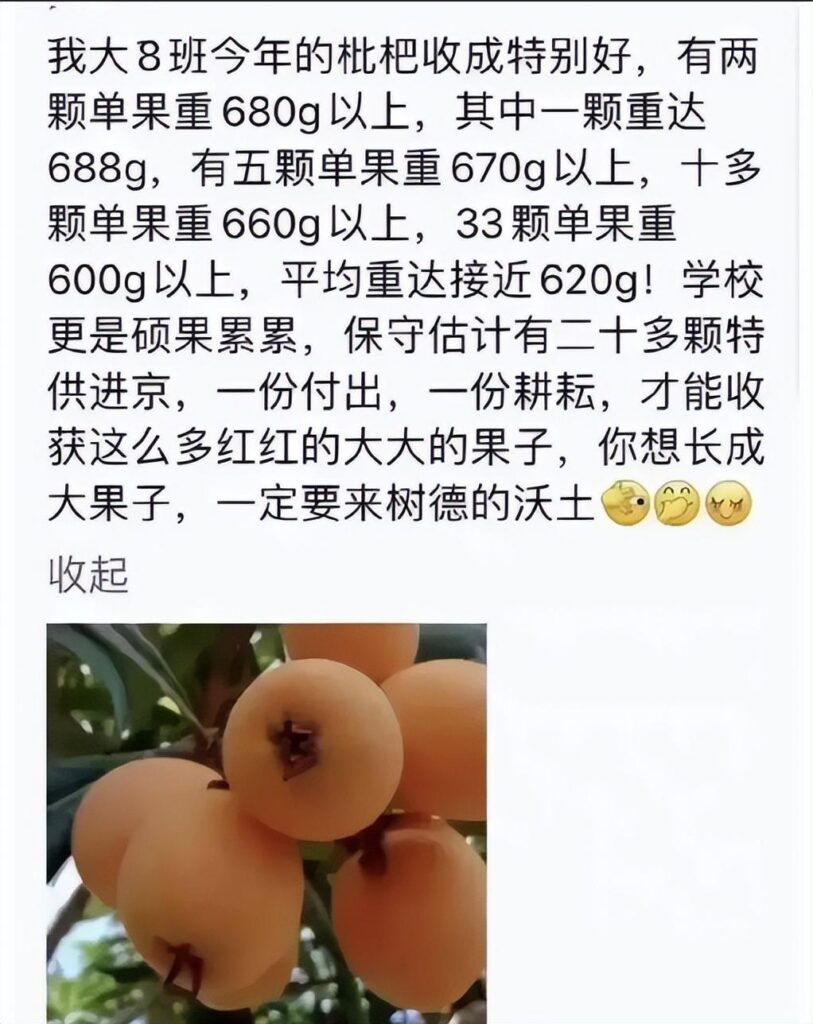 为什么要禁止宣传高考状元和升学率