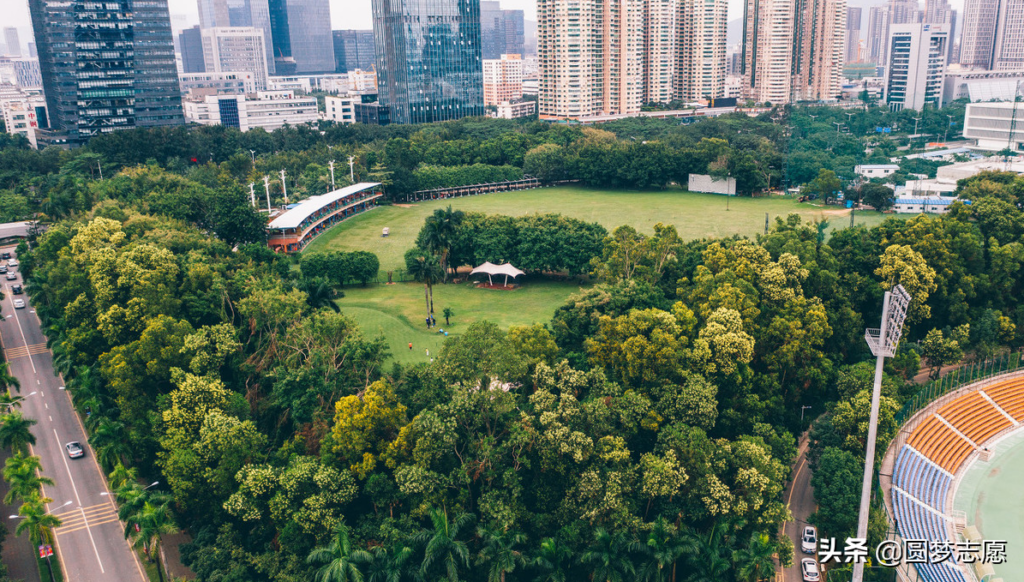 深圳大学哪些专业好_深圳大学有多难考