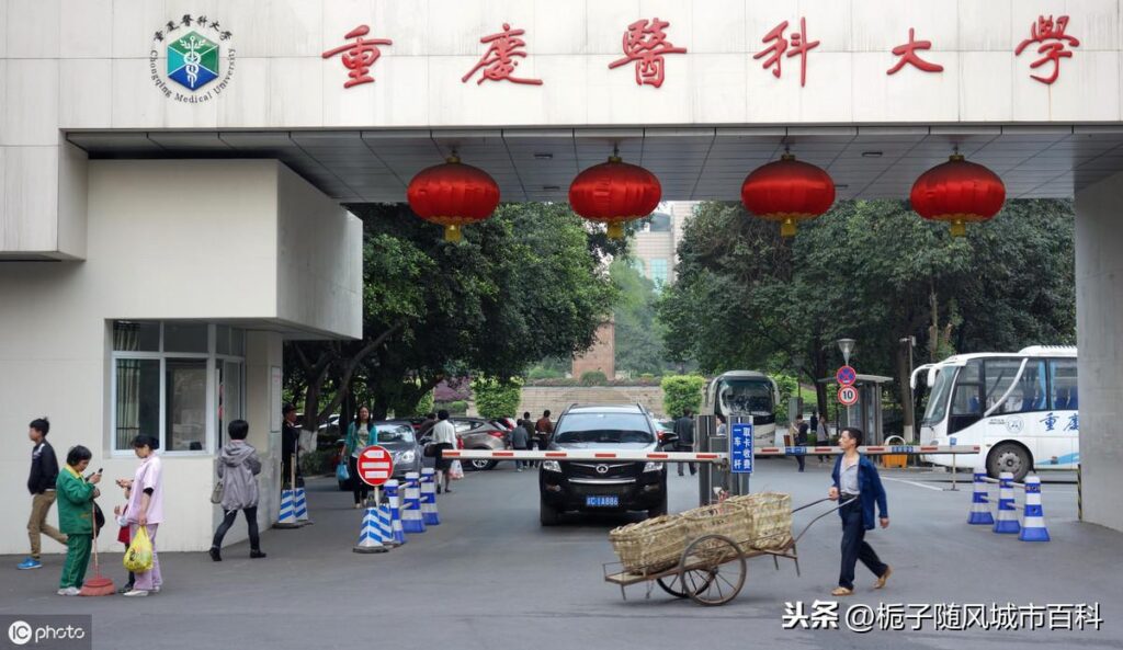 重庆有哪些一本大学名_重庆一本大学排名