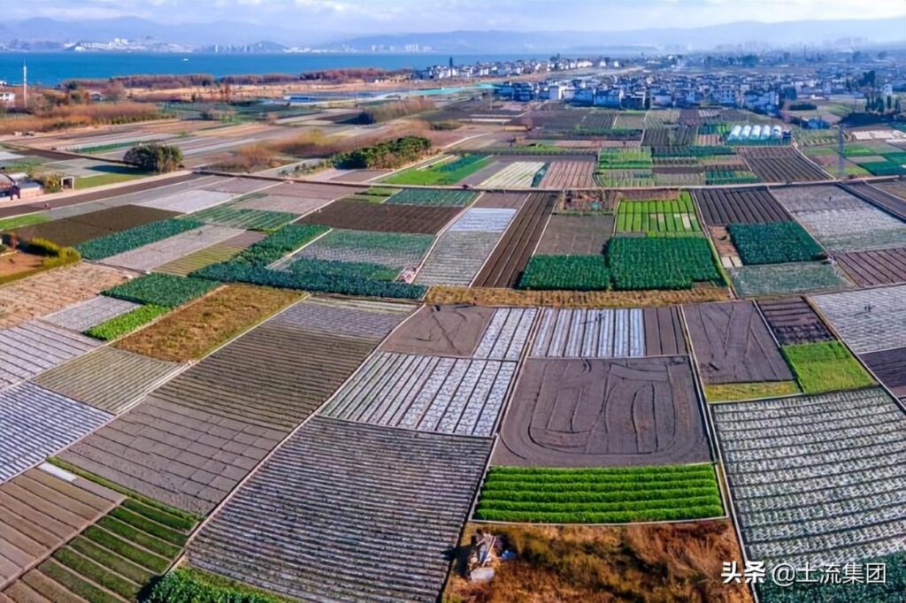 河南耕地地力补贴什么时候发放，补贴多少钱一亩