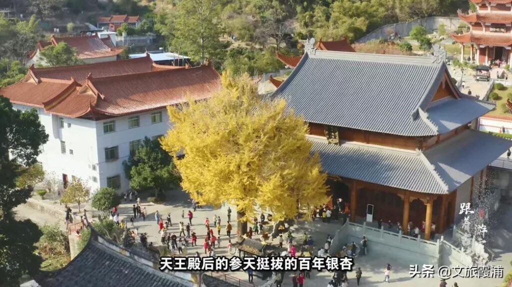 建善寺在哪，建善寺简介