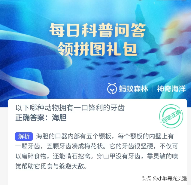 牙齿最锋利的动物是什么，牙齿最锋利的动物