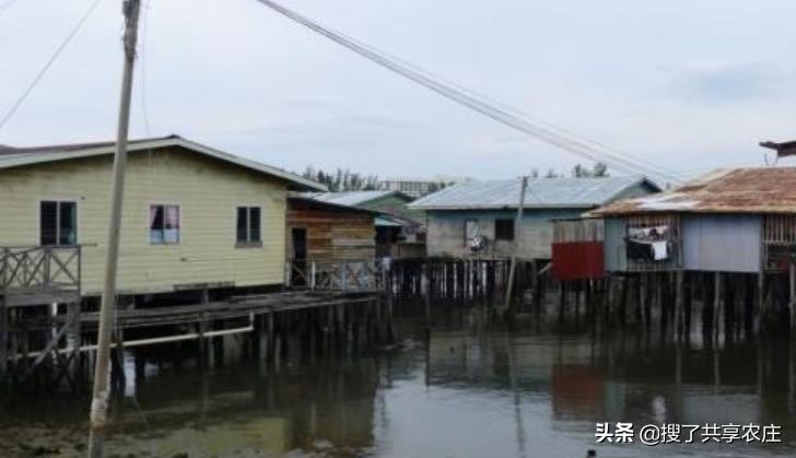 在农村自建房搭铁皮屋算违建吗，农村自建房的四个注意