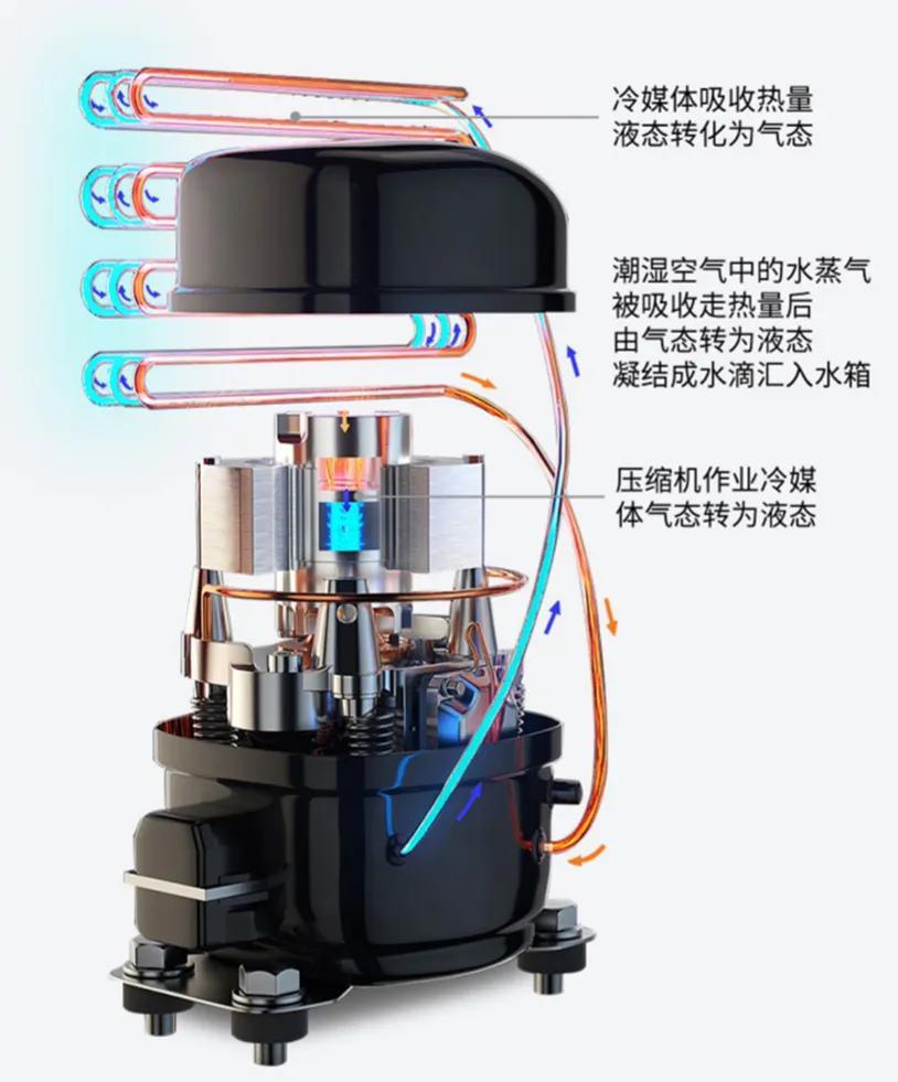 进口除湿机品牌,进口除湿机十大品牌