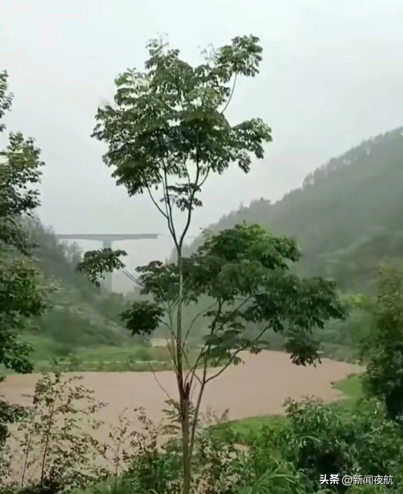 重庆暴雨