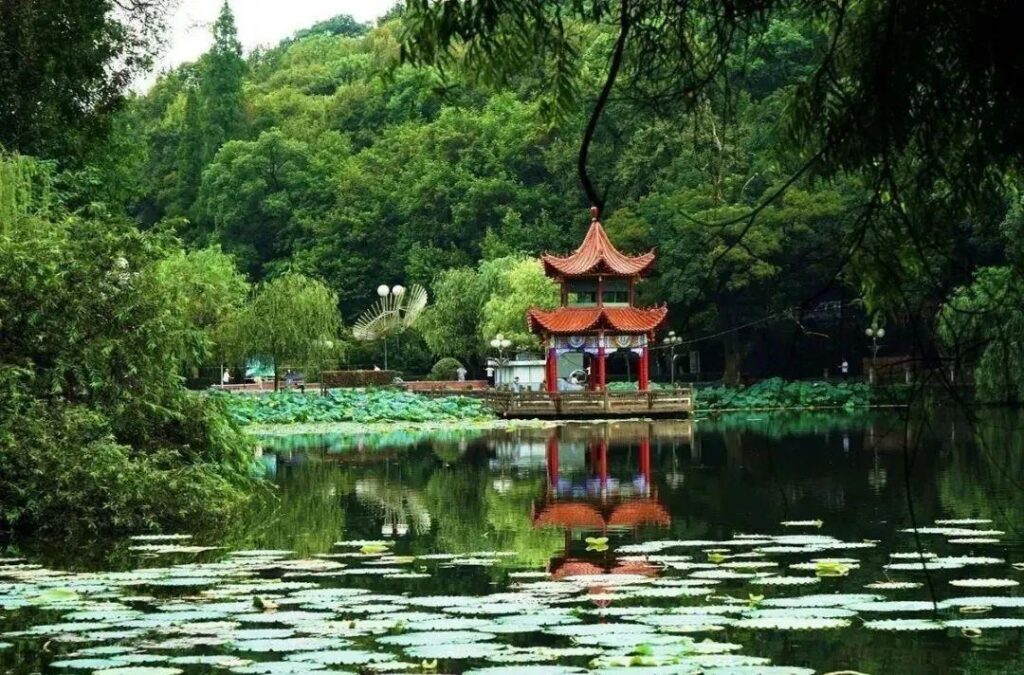 莲花塘在哪，莲花塘有哪些美景