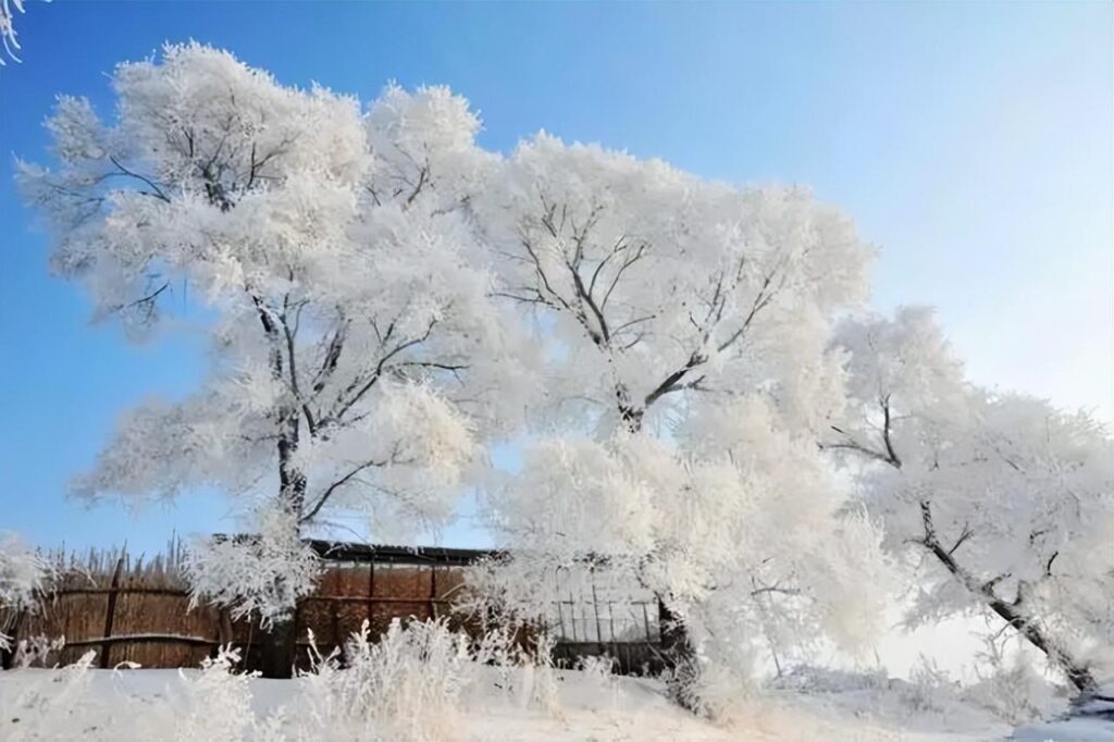 冬天去哪旅游好又便宜，冬天去哪旅游好