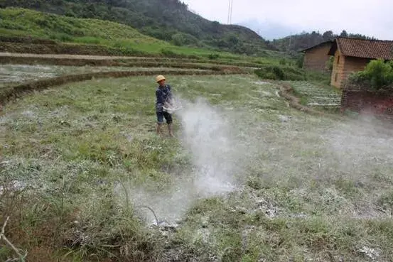 生石灰有没有杀菌消毒作用