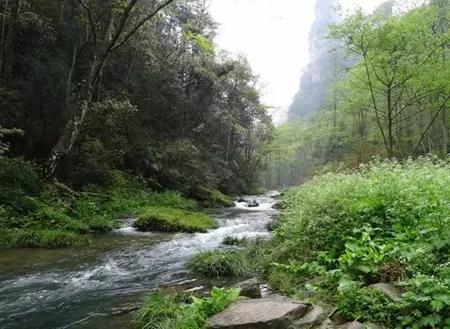 张家界得多少钱，张家界旅游总结