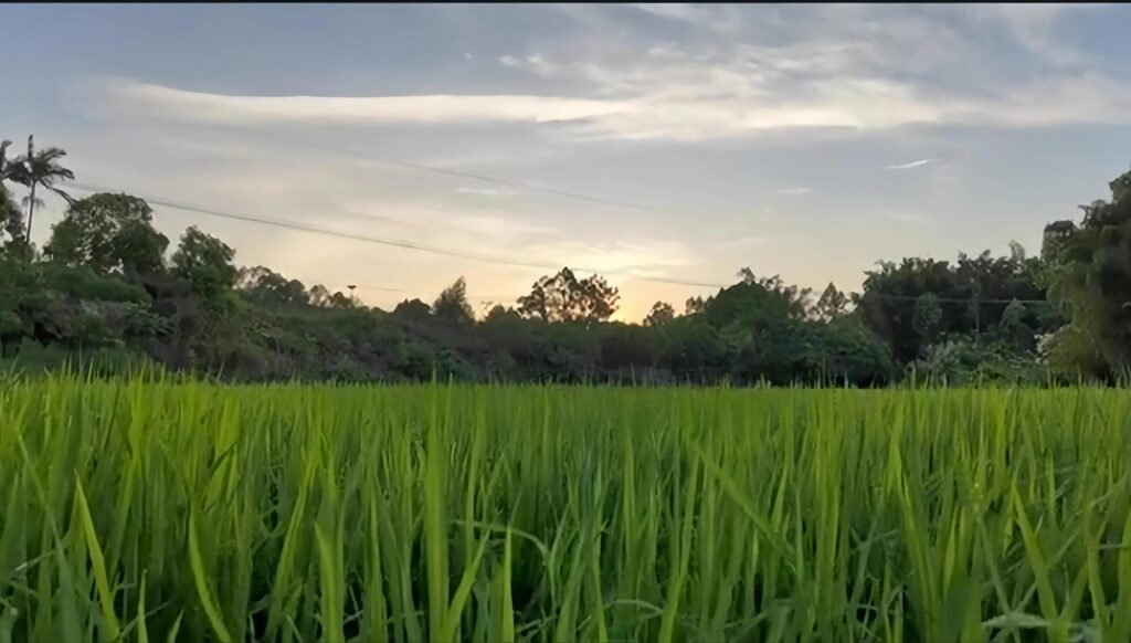 高温持续注意加强健康防护