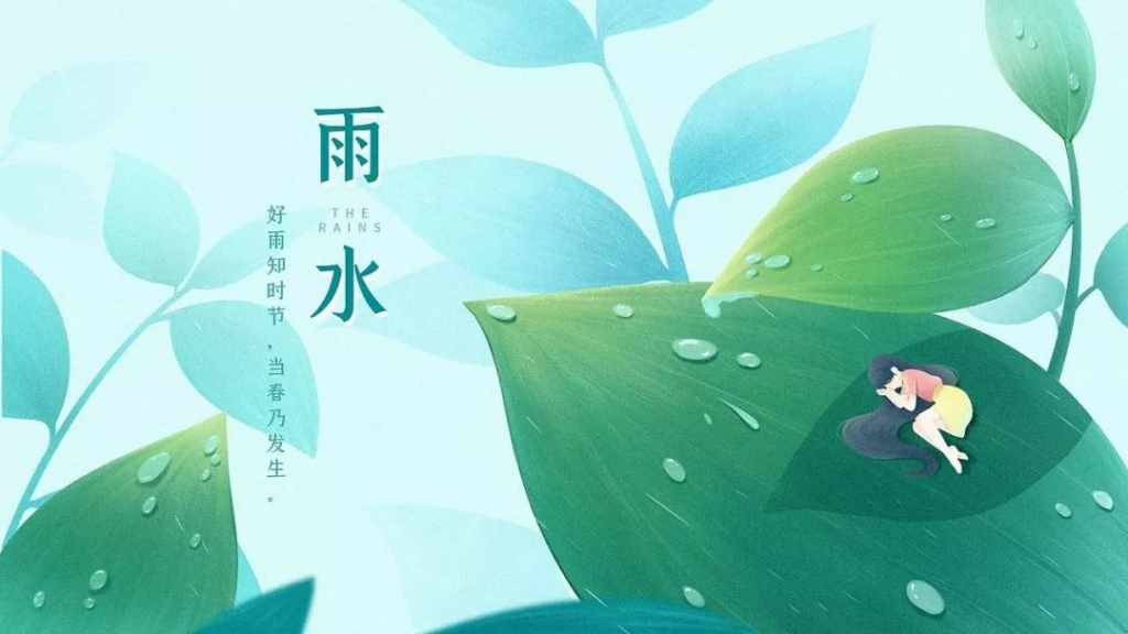 雨水节气种什么蔬菜