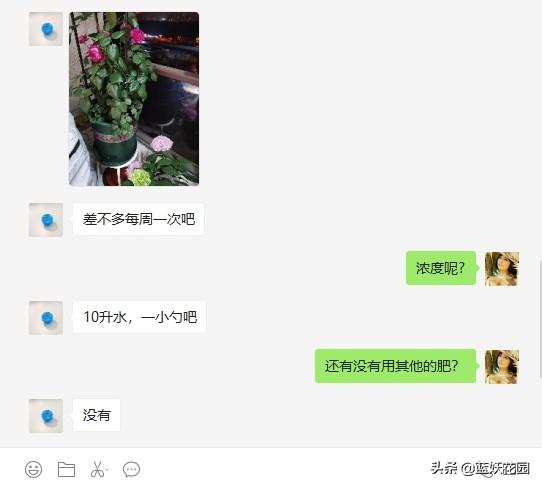 为什么一用花多多就肥害，花多多肥料的正确用法