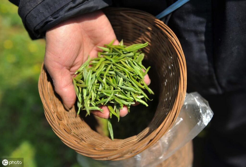 茶叶商标注册需要多少钱，茶叶商标申请流程