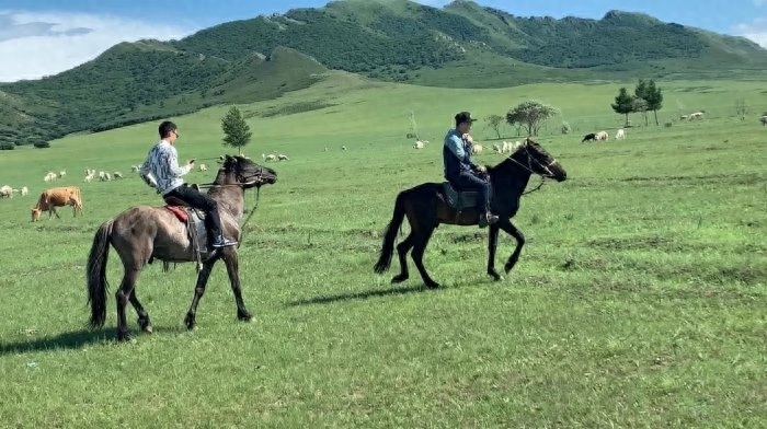 内蒙古旅游哪里好玩，内蒙古旅游攻略