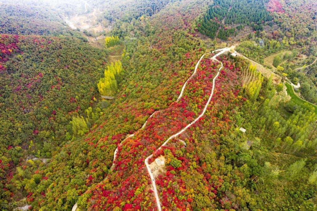 河南哪几个地方好玩，河南最值得去的几个地方