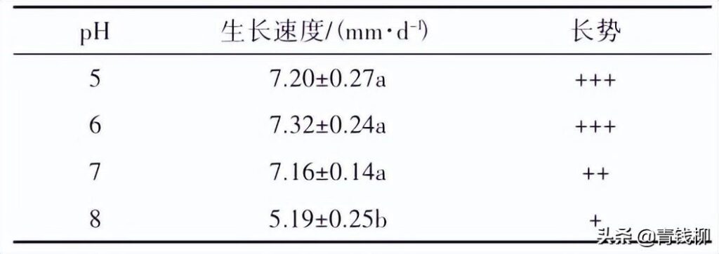 金耳如何种植，金耳的品种选择