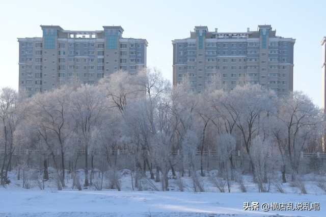 鹤岗是哪个省的城市，房价多少