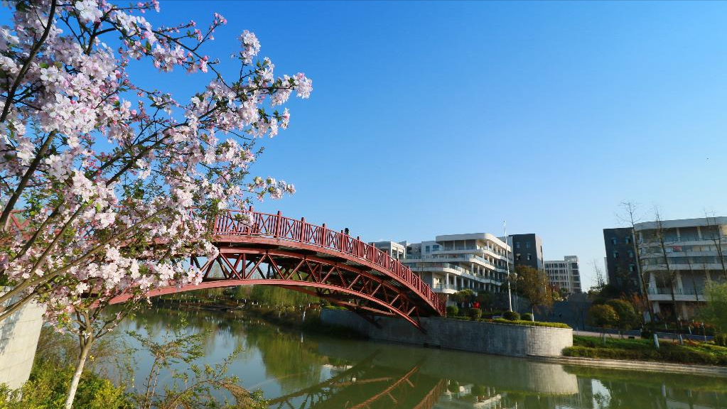 安康学院在哪里，安康学院什么档次