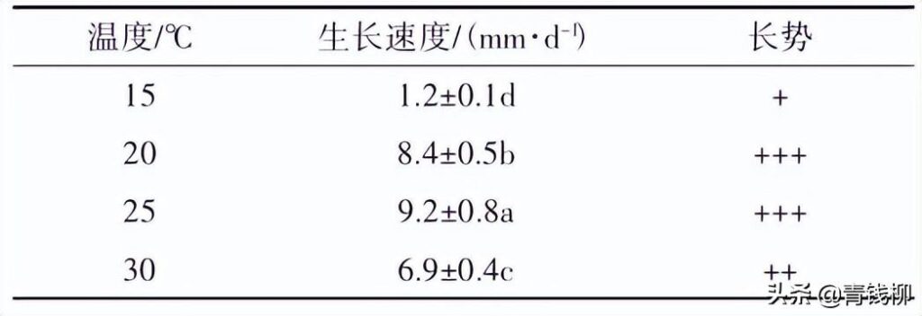 金耳如何种植，金耳的品种选择