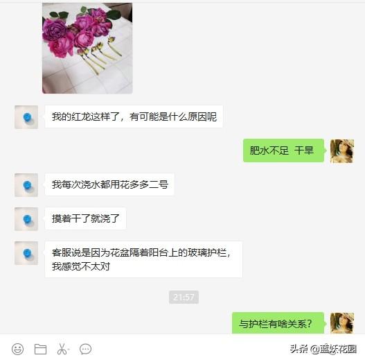 为什么一用花多多就肥害，花多多肥料的正确用法