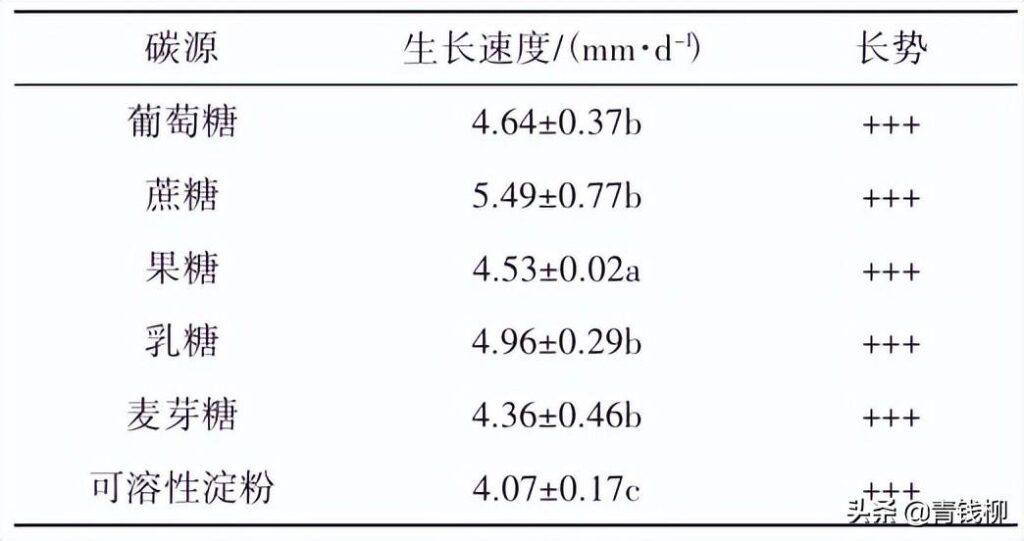 金耳如何种植，金耳的品种选择