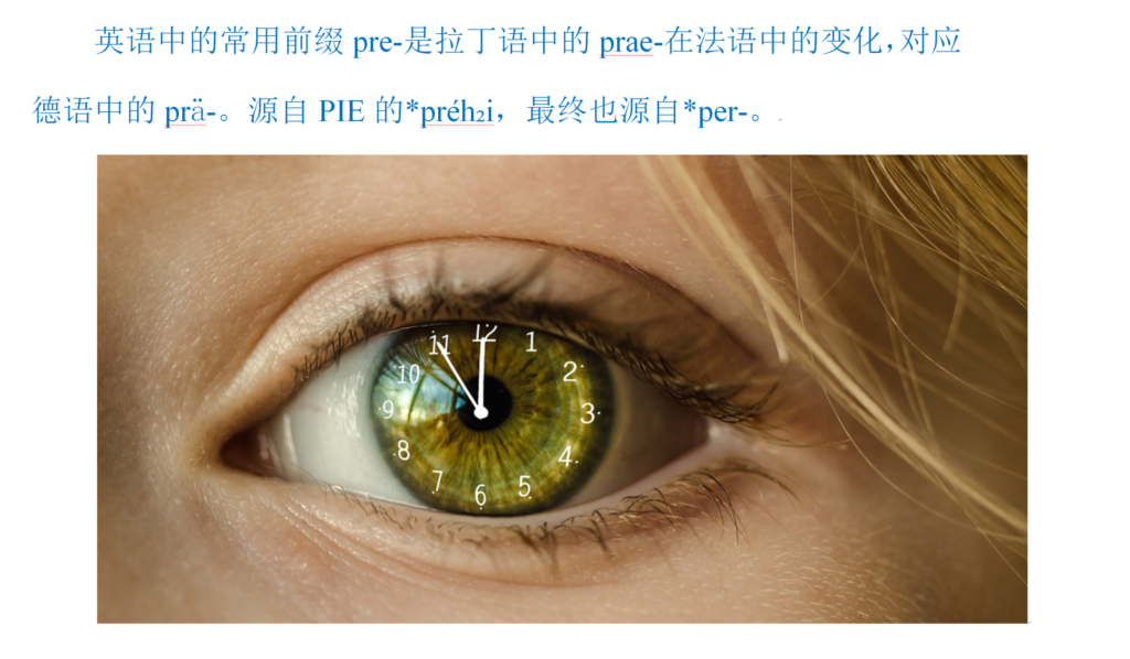 prince是什么意思，prince在英语中的意思