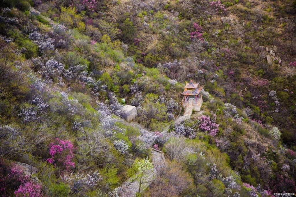 泰山要爬几个小时，泰山多高