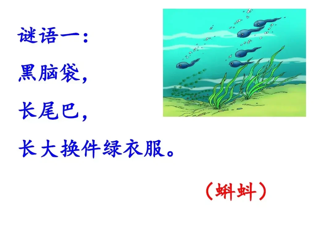 蜻怎么组词,间字笔顺