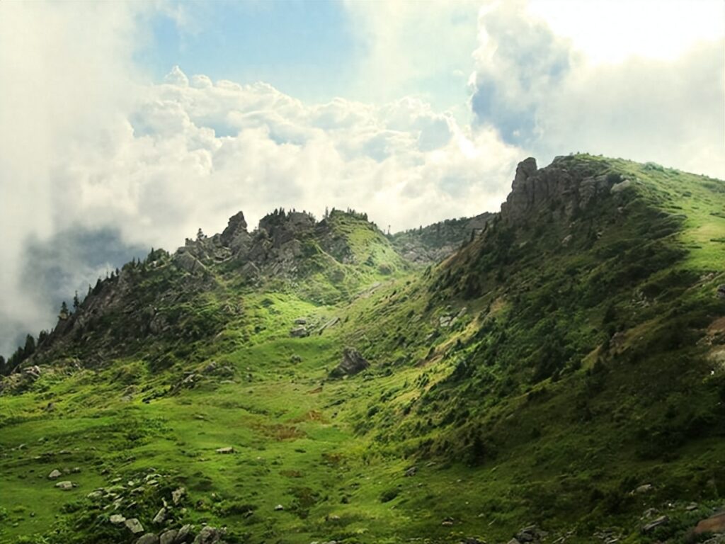 草地基准地怎么价评估，草地基准地价评估方法